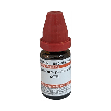 Dr Willmar Schwabe India Eupatorium Perfoliatum Dilution 6 CH