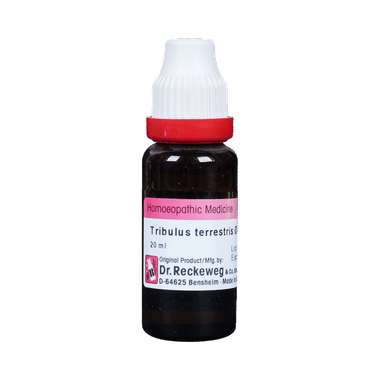 Dr. Reckeweg Tribulus Terr Mother Tincture Q