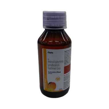 Levolin Plus Syrup Sugar Free Mango