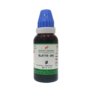 Hering Pharma Blatta Ori Mother Tincture Q