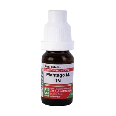 ADEL Plantago M. Dilution 1M