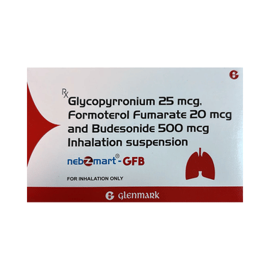 Nebzmart-GFB Smartule (2ml Each)