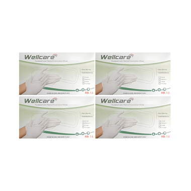 WellCare Powdered Latex Medical Examination Gloves (100 Each)