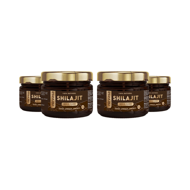 Nirvasa 100% Natural Shilajit Resin Form (20gm Each)
