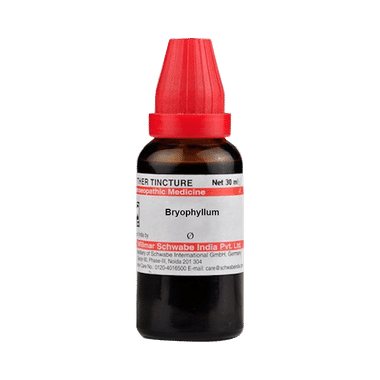 Dr Willmar Schwabe India Bryophyllum Mother Tincture Q