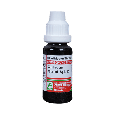 ADEL Quercus Gland Spi Mother Tincture Q