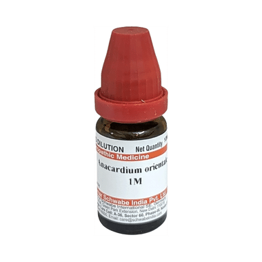 Dr Willmar Schwabe India Anacardium Orientale Dilution 1M