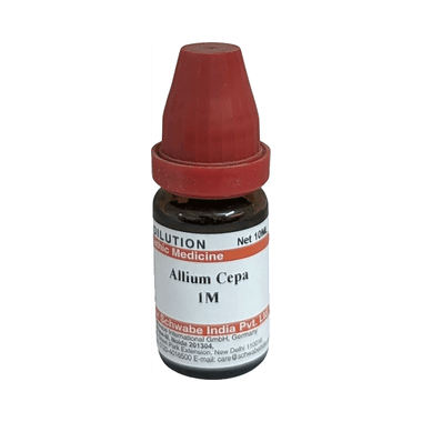 Dr Willmar Schwabe India Allium Cepa Dilution 1M