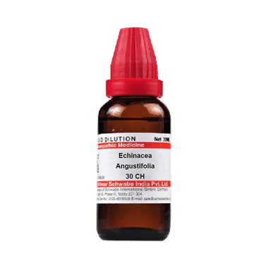 Dr Willmar Schwabe India Echinacea Angustifolia Dilution 30 CH