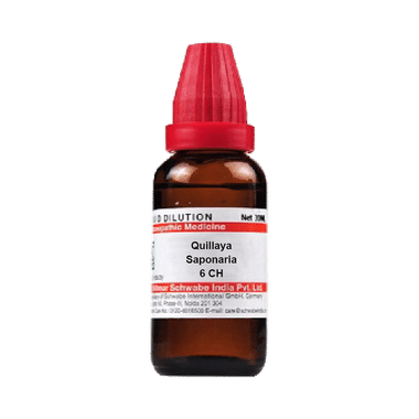 Dr Willmar Schwabe India Quillaya Saponaria Dilution 6 CH