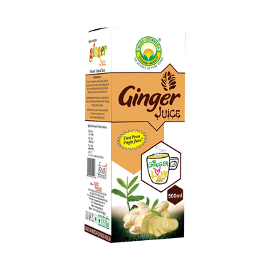 Basic Ayurveda Ginger Juice