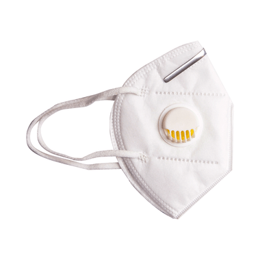 Dominion Care N95 Mask White