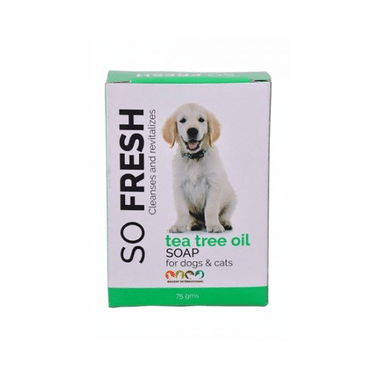 So Fresh Tea Tree Oil Soap For Dogs & Cats