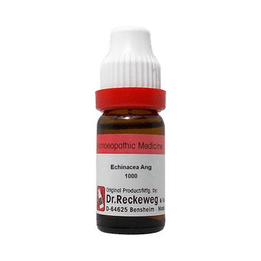 Dr. Reckeweg Echinacea Ang Dilution 1000 CH