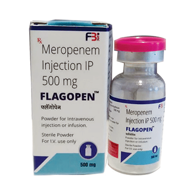<span style='color:#626A7A'>Flagopen Injection</span>