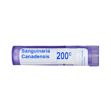 Boiron Sanguinaria Canadensis Single Dose Approx 200 Microgranules 200 CH