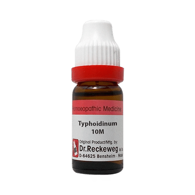 Dr. Reckeweg Typhodinum Dilution 10M CH