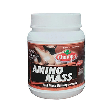 Champ's Amino Mass Chocolate Brownie