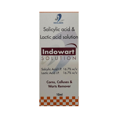 Indowart Solution