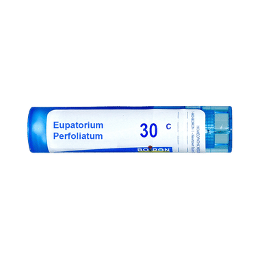 Boiron Eupatorium Perfoliatum Pellets 30C