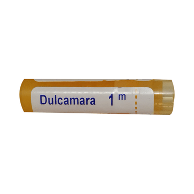 Boiron Dulcamara Pellets 1M