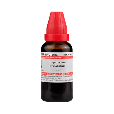 Dr Willmar Schwabe India Eupatorium Perfoliatum Mother Tincture Q