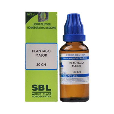 SBL Plantago Major Dilution 30 CH