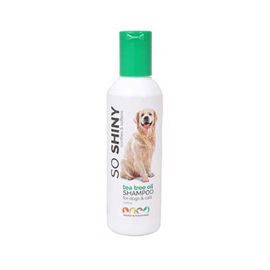 So Shiny Tea Tree Oil Shampoo For Dogs & Cats