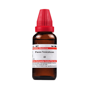 Dr Willmar Schwabe India Fucus Vesiculosus Mother Tincture Q