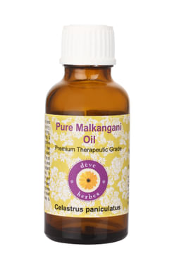 Deve Herbes Pure Malkangani/Celastrus Paniculatus Oil