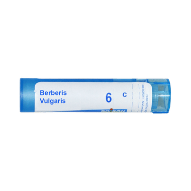 Boiron Berberis Vulgaris Multi Dose Approx 80 Pellets 6 CH