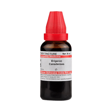 Dr Willmar Schwabe India Erigeron Canadenses Mother Tincture Q