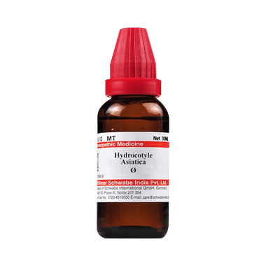 Dr Willmar Schwabe India Hydrocotyle Asiatica Mother Tincture Q