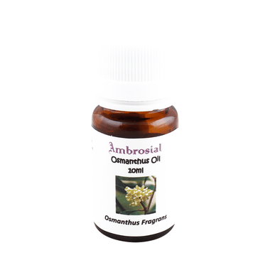 Ambrosial Osmanthus Essential Oil