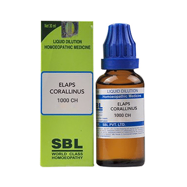 SBL Elaps Corallinus Dilution 1000 CH