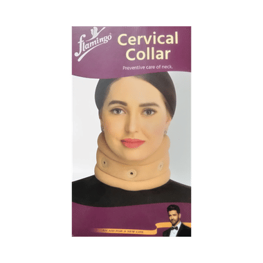 <span style='color:#626A7A'>Flamingo Cervical Collar Large</span>