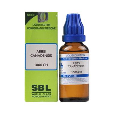 SBL Abies Canadensis Dilution 1000 CH