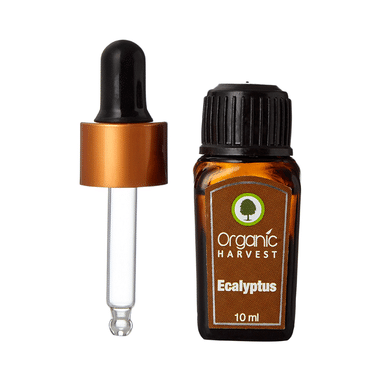 Organic Harvest Eucalyptus Essential  Oil