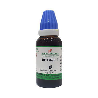 Hering Pharma Baptisia T Mother Tincture Q