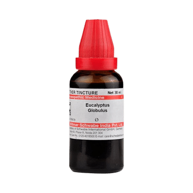 Dr Willmar Schwabe India Eucalyptus Globulus Mother Tincture Q