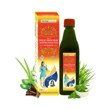 Herbal Canada Special Wheat Grass Giloy Aloevera Panch Tulsi Juice Sugar Free