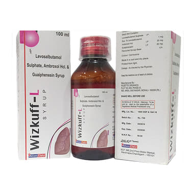 <span style='color:#626A7A'>Wizkuff-L Syrup</span>