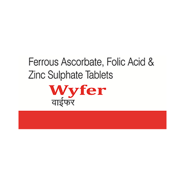 <span style='color:#626A7A'>Wyfer Tablet</span>