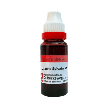 Dr. Reckeweg Liatris Spicata Mother Tincture Q