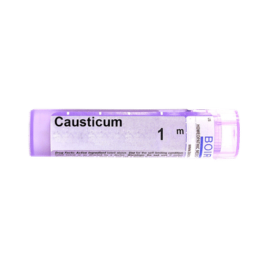 Boiron Causticum Pellets 1M
