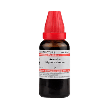 Dr Willmar Schwabe India Aesculus Hippocastanum Mother Tincture Q