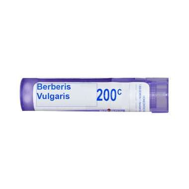 Boiron Berberis Vulgaris Multi Dose Approx 80 Pellets 200 CH