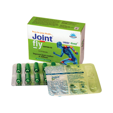 <span style='color:#626A7A'>Joint Fly Capsule</span>