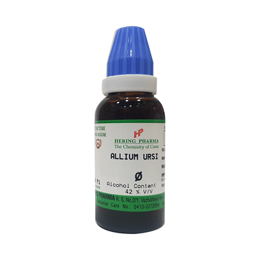 Hering Pharma Allium Ursi Mother Tincture Q