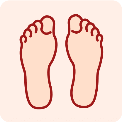 X - Ray Both Calcaneum AP View